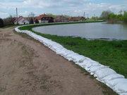 2006